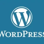 freelance digital marketer in dubai wordpress